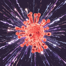 2020.02.01　②PFC-JAPAN 20200129 終末時の狂気　Violet-fireworks-vector-explosion-with-FoL-over-2019-nCoV-reversed.gif